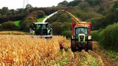 روسیه محصولات کشاورزی آمریکا را تحریم کرد