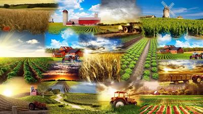 آئین‌نامه افزایش بهره‌وری بخش کشاورزی ابلاغ شد