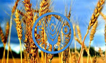  توصیه فائو برای پایداری کشاورزی در ایران 