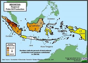 تولید سوخت بیودیزل عامل اصلی کاهش صادرات روغن پالم اندونزی شد